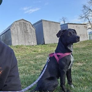 Meet your Posher, Evan